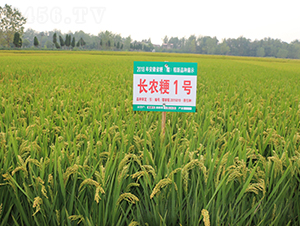 �L�r(n��ng)��1̖-ˮ���N��-��N�I(y��)