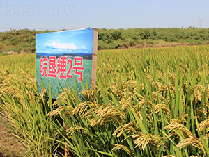 ���2̖-ˮ���N��-��N�I(y��)