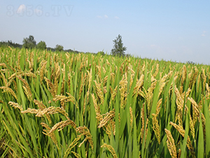 ���\��27̖-ˮ���N��-��N�I(y��)