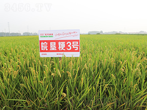 ���3̖-ˮ���N��-��N�I(y��)