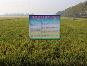 ��ݗ��7̖-ˮ���N��-��N�I(y��)