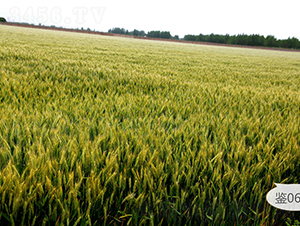 ���0622-С���N��-��N�I(y��)