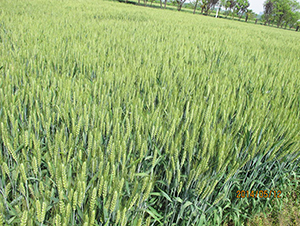 ��(j��)��22-С���N��-��N�I(y��)