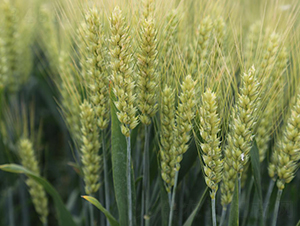 ����44-С���N��-��N�I(y��)