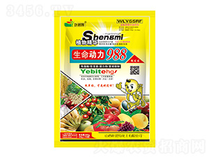 ��������988-�~����