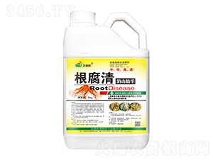 �������������A-�~����