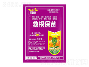 �ȸ�����-�~����