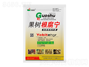 ���������-�~����