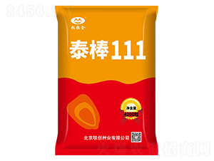 ̩��111-���׷N��-(li��n)��(chu��ng)�N�I(y��)