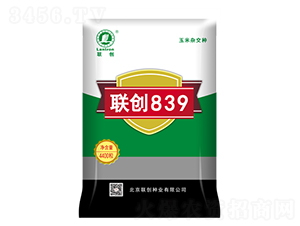 (li��n)��(chu��ng)839-���׷N��-(li��n)��(chu��ng)�N�I(y��)