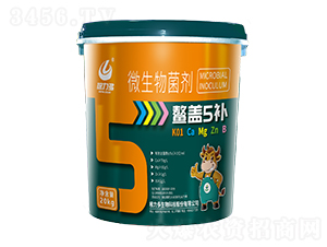 ΢�������-���w5�a(b��)-������