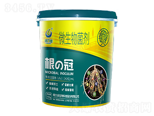 ΢�������-���ι�-������