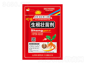 �������焩-�~����