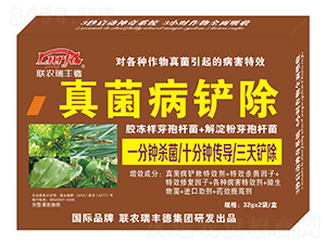 ΢�����-������P��-���S��