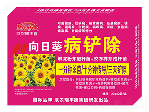 ΢�����-���տ����P��-���S��