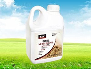 ������-����