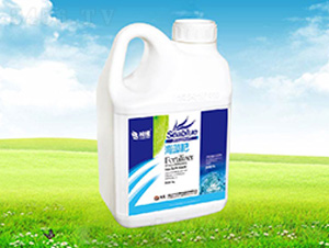 �����-����