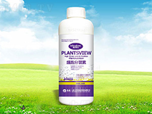 ��(x��)��������-���� 