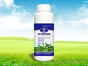 ���~��ѿ������-����