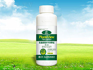 ���������\�}�F�i-����