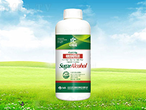 �Ǵ��}�V-������(y��u)-����