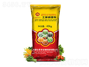 �����{(di��o)�턩-������-���S����