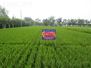 ���\��32̖-ˮ���N��-�t��N�I(y��)