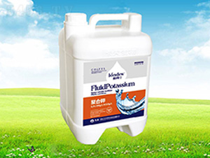 �{(l��n)��ʿ�ۺ��-����