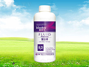 1300���{(l��n)��ʿ�ۺ��-����