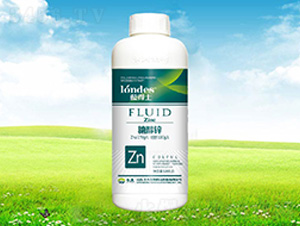 �{(l��n)��ʿ�Ǵ��\-����