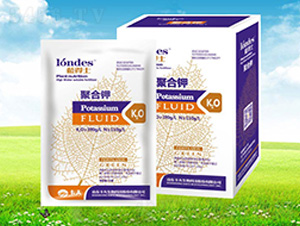 20���{(l��n)��ʿ�ۺ��-����