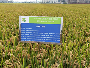 �}Ŵ20-ˮ���N��-������