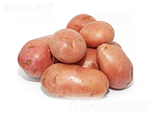 ���S�t-�����N��-���S�N�I(y��)