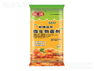 �����m��΢�������-����-����ʩ�ʘI(y��)