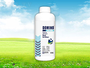 ʮ��Ԫ�����w��-�����Z-����