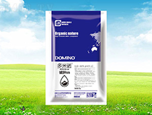 �A�66-�����Z-����