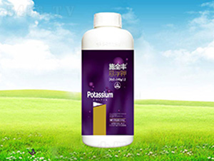 ʩȫ�S�Ҹ��-����