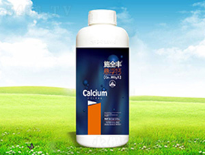 ʩȫ�S�Ҹ��}-����