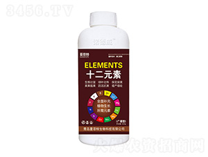 ʮ��Ԫ��-�Z����