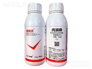 50%����������-�侫�`-������