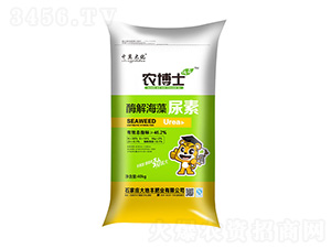 ø�⺣������-��������