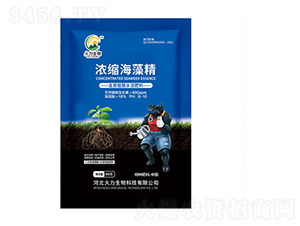 ��s���徫-��������