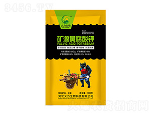 1000g�VԴ�S�����-��������