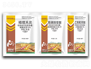 �����󶹳����ײ�-���̻����pϲ-�������r