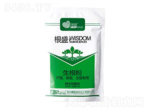 ��ʢ-����-������r(n��ng)