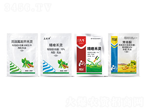 �����󶹳��ݽM��-�������r