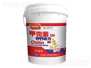 �ך�����}����-ʩ����-��S����