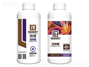 ���w��-��ֲ-���w�~��-��ֲ-���w�~��