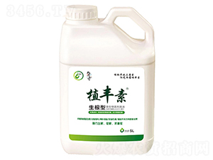 ������-ֲ�S��-������