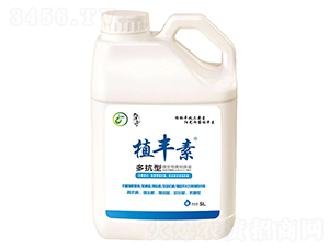 �࿹��-ֲ�S��-����������